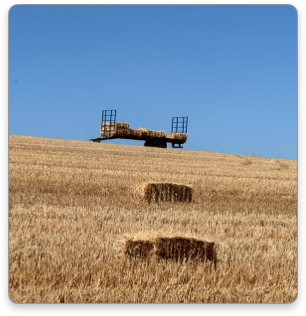 Rolling Fields